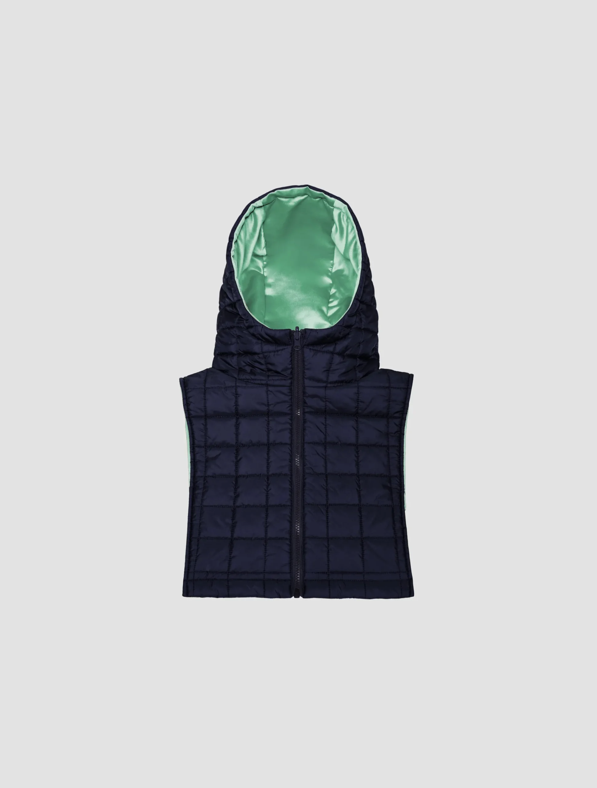 Reversible hooded collar