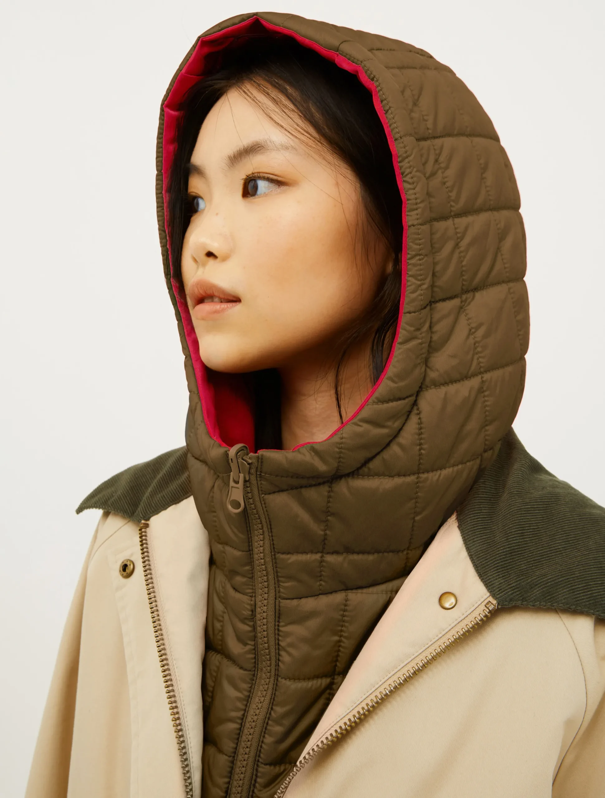 Reversible hooded collar
